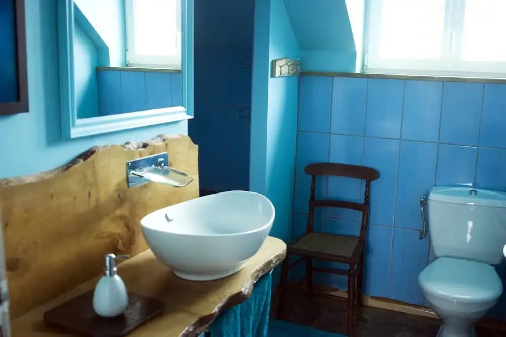 La Nesliere Chambres d'Hôtes Biologique - Miniature 7