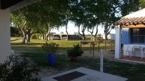 Le Mas de Mon Pere - Photo 2