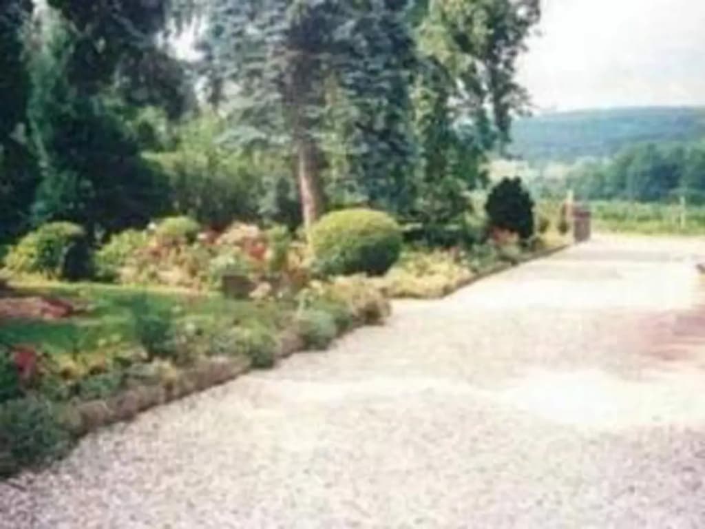 La Tirelire - Miniature 7