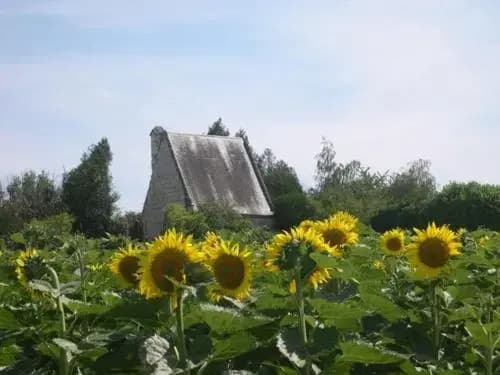 Gite - Domaine de la Chapelle - Photo 2