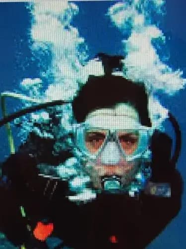 CARRIBBEAN Studio Madicreole au Carbet - Photo 1