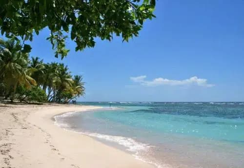 Bungalow Residence Petite Anse I - Miniature 7