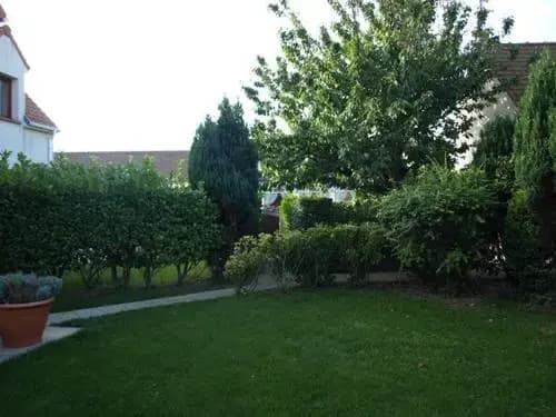 Les Mouettes - Miniature 3