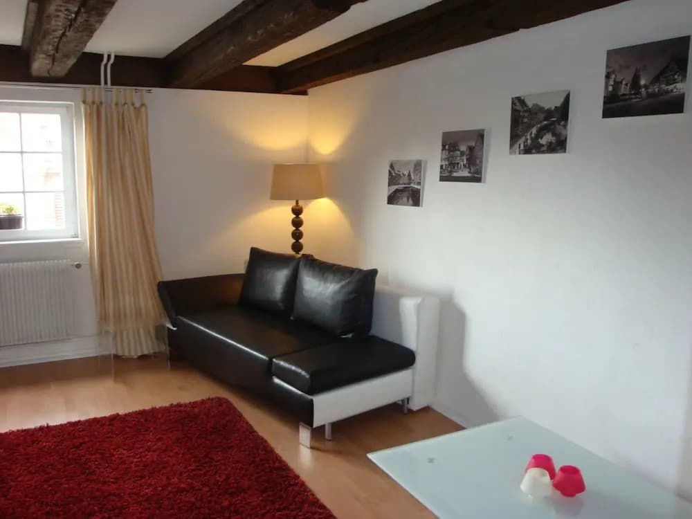 Sur les Quais de Colmar avec parking - Miniature 6
