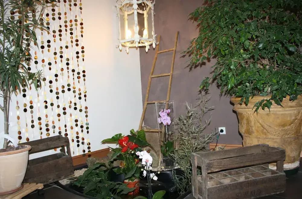 Les Keriaden's Maison d'hotes - Miniature 2