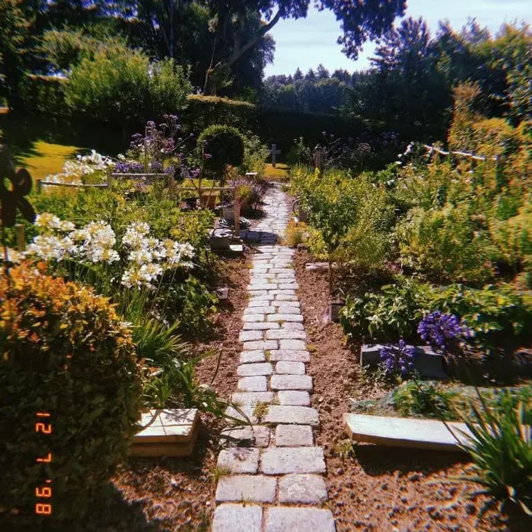 Tillac Chambres d'hôtes - Miniature 6