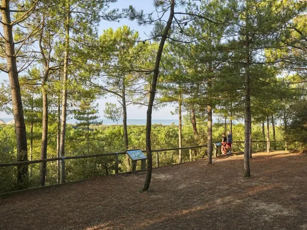 Maison Saint-Jean-de-Monts, 3 pièces, 6 personnes - FR-1-323-58 - Photo 1