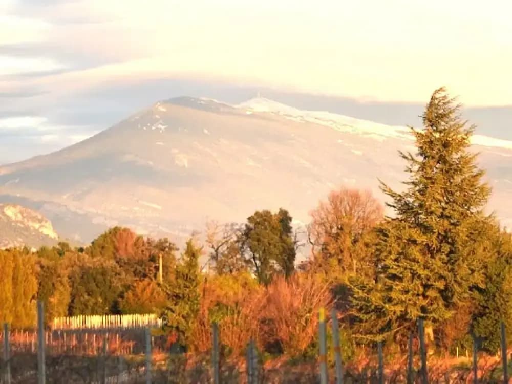 Superb Yurt of Mongolian Tradition in Provence - Photo 3