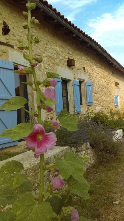 Douvilla - Photo 1