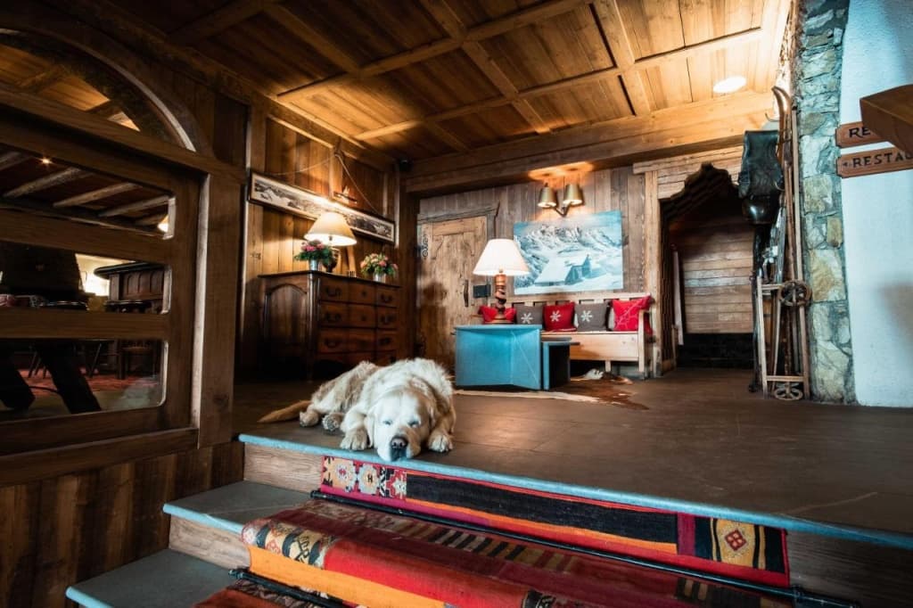 Hotel Le Blizzard - Photo 4