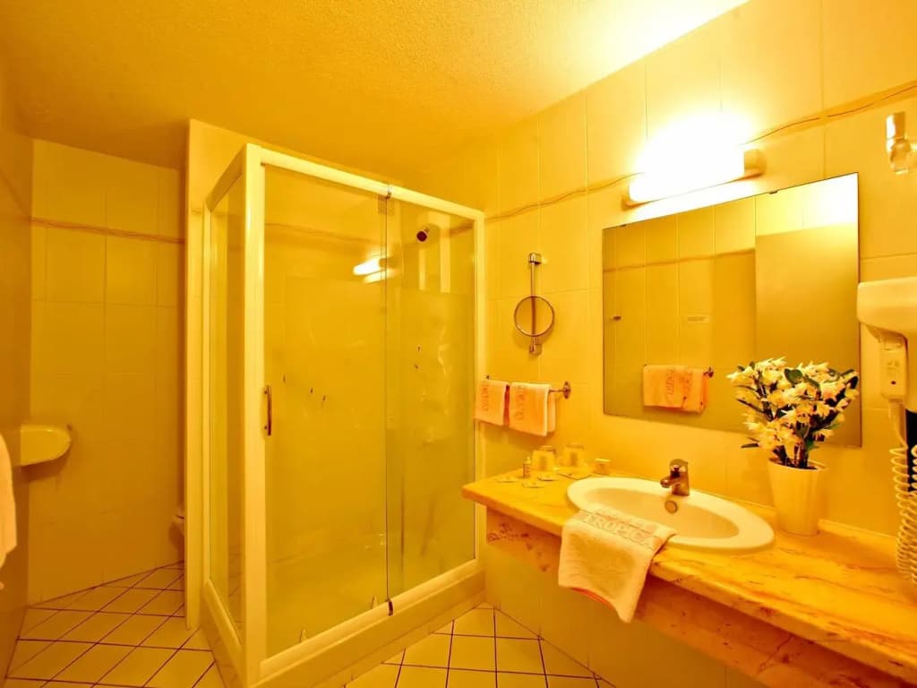 Logis Hotel Le Tropicana - Miniature 8
