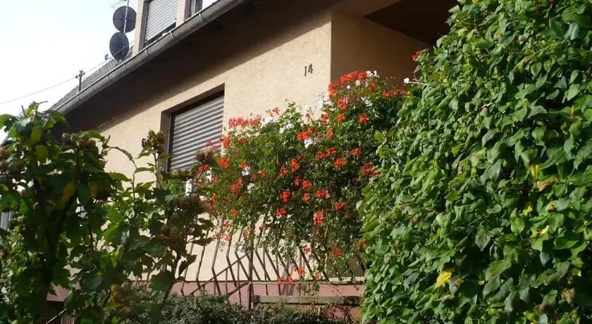 Gîte Les perles du Vignoble - Photo 1