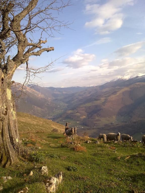 Vie D'estive - Photo 5