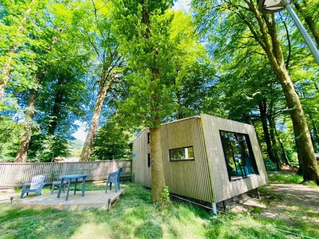 L'Etape en Foret - Miniature 6