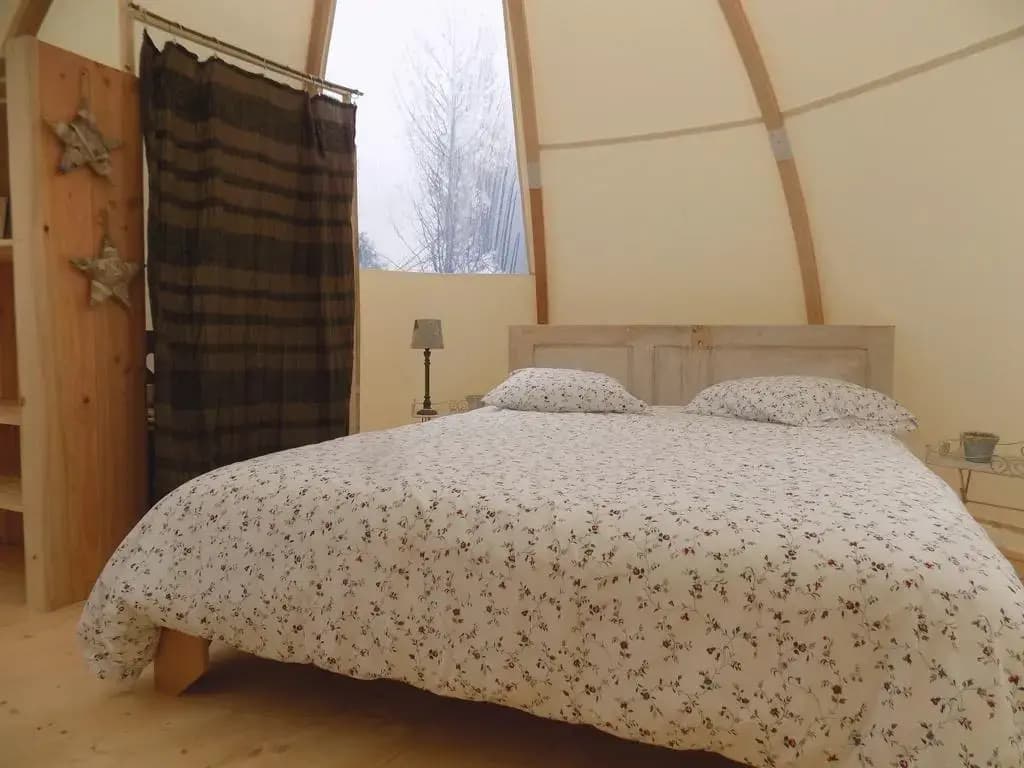 La chouette étoilée - Photo 1