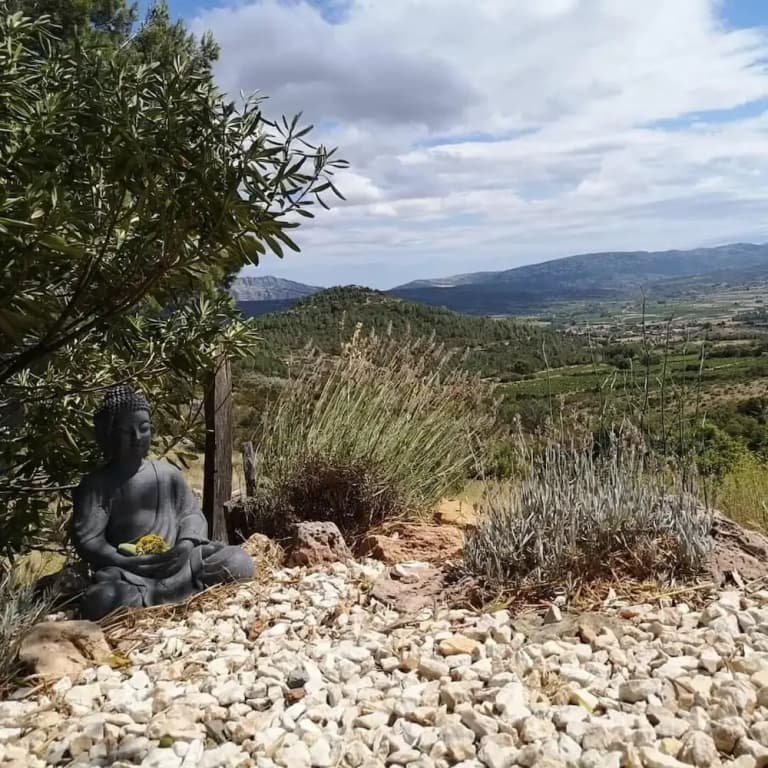 Yourte Nature Saint Roch - Miniature 8
