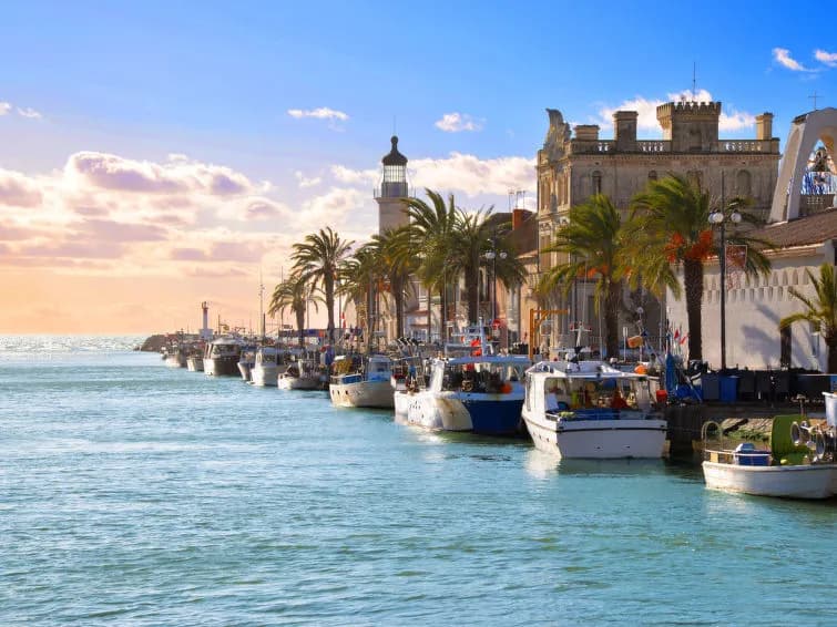 Le Floride - Miniature 7