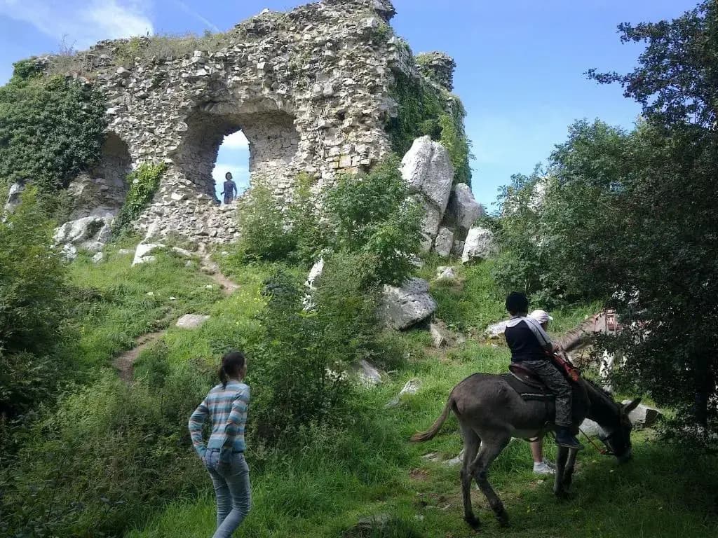 Ecuries Leseigneur - Gite - Photo 5