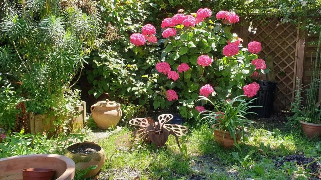 La Maison De Biord - Miniature 2