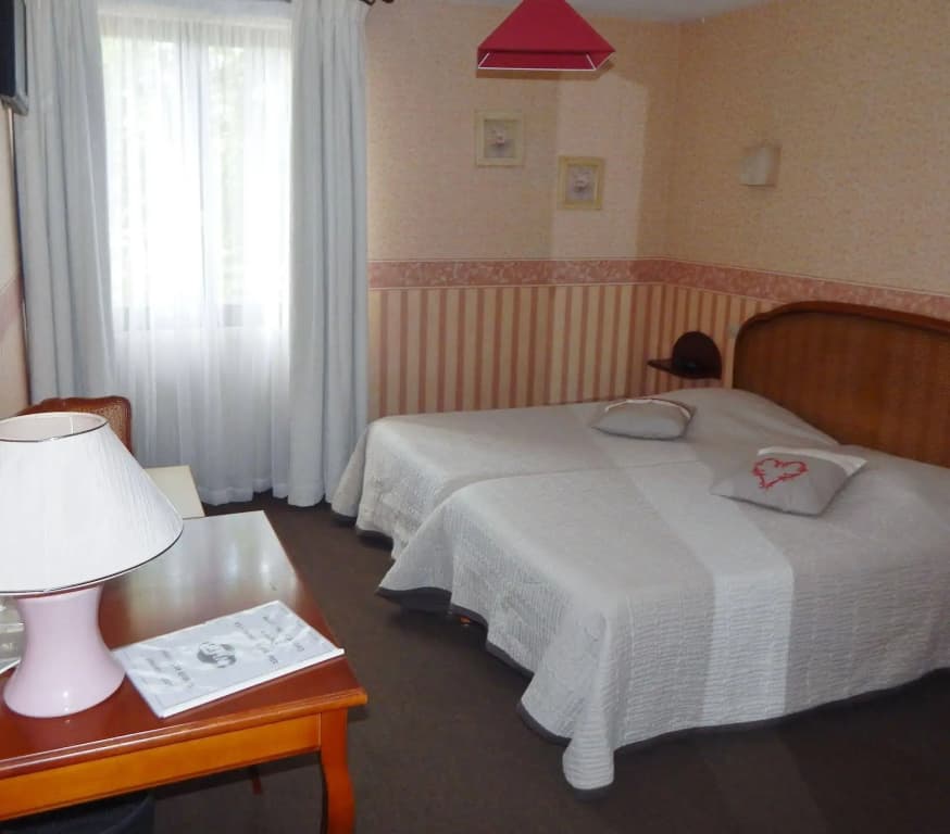 Hôtel Le Cygne - Photo 2