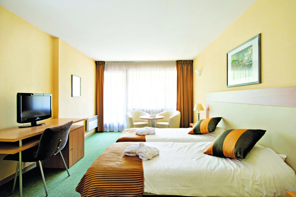 Hotel & Spa Vacances Bleues Villa Marlioz - Miniature 7