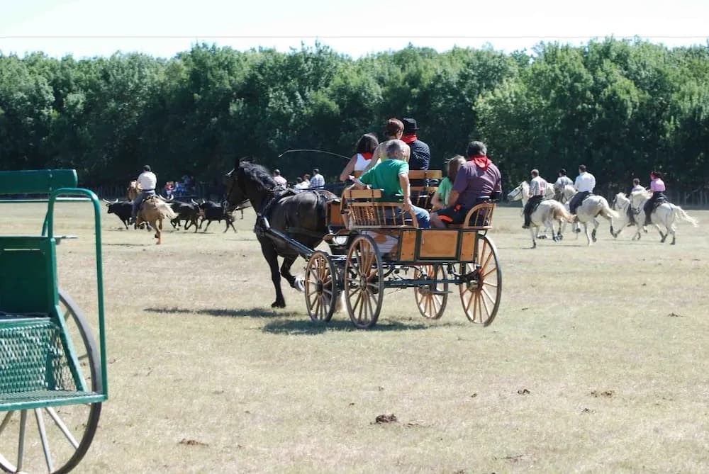 Roulotte La Nanouche - Photo 5