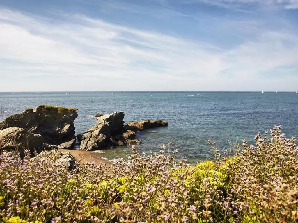 Maison Saint-Hilaire-de-Riez, 4 pièces, 6 personnes - FR-1-428-101 - Miniature 7
