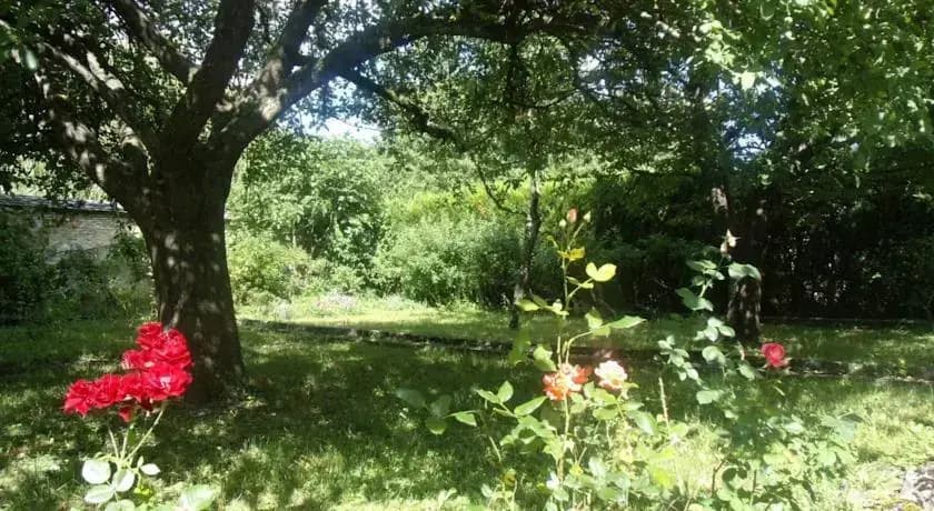 Le Grand Jardin - Photo 5