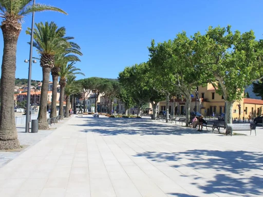 Appartement Banyuls-sur-Mer, 1 pièce, 2 personnes - FR-1-225C-25 - Miniature 8