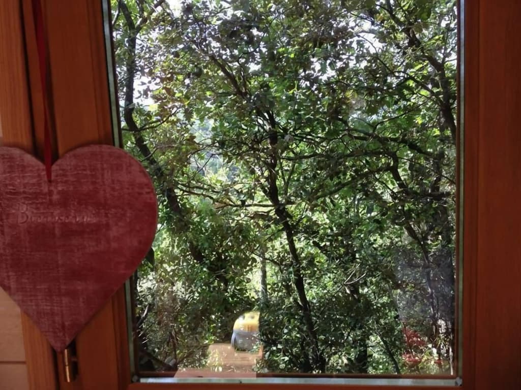 La Cabane Des Amoureux - Miniature 7