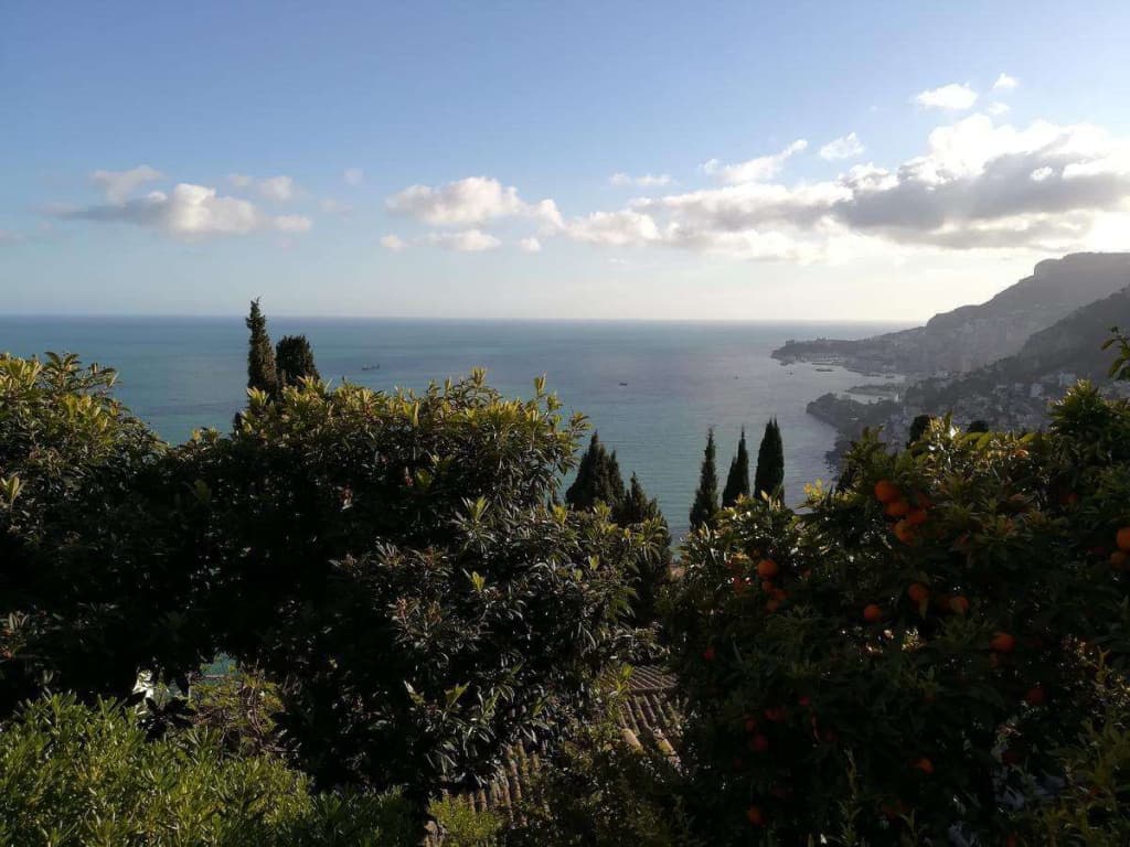 La Bombonière - Photo 4