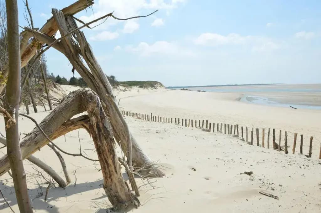 SURF Vue Mer 100m plage - Photo 3