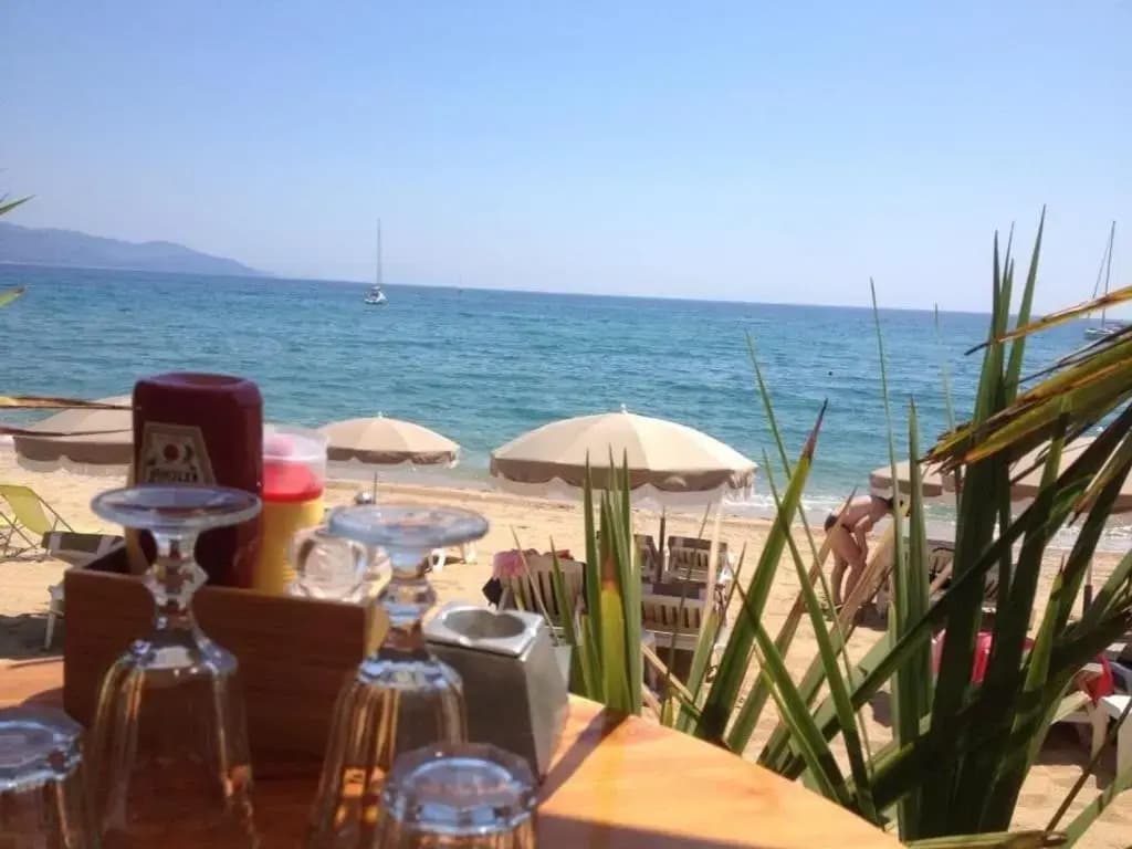 Appartement Le Lavandou, 2 pièces, 4 personnes - FR-1-251-359 - Miniature 8