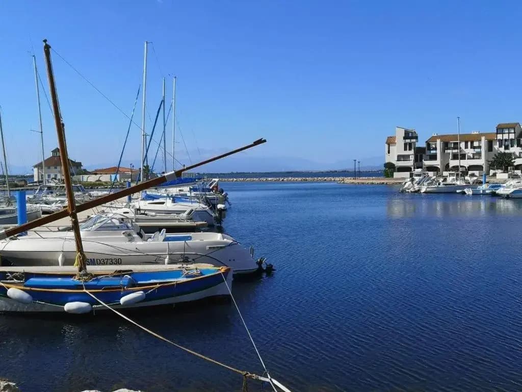 Appartement Port Barcarès, 2 pièces, 4 personnes - FR-1-195-46 - Photo 4