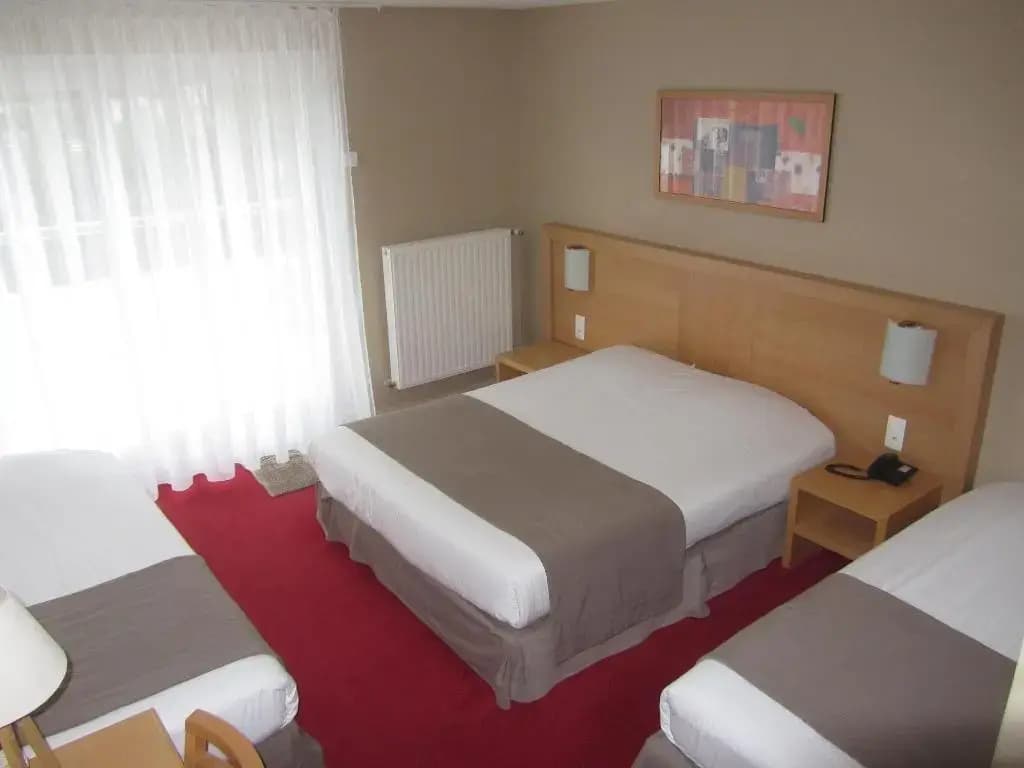Hôtel Le Régina - Miniature 5