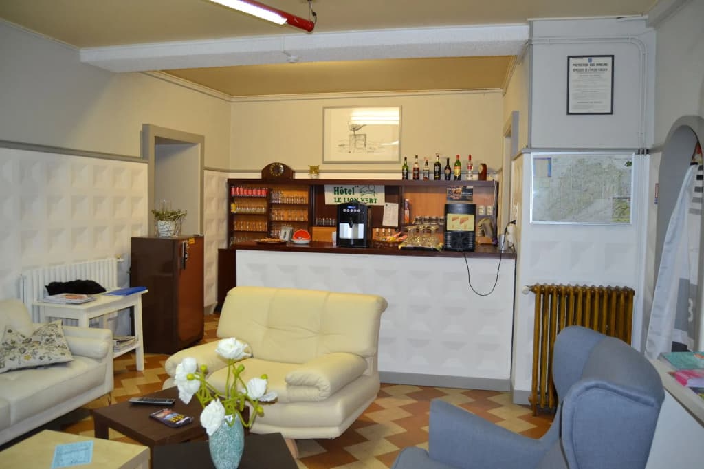 Hôtel du Lion Vert - Photo 1
