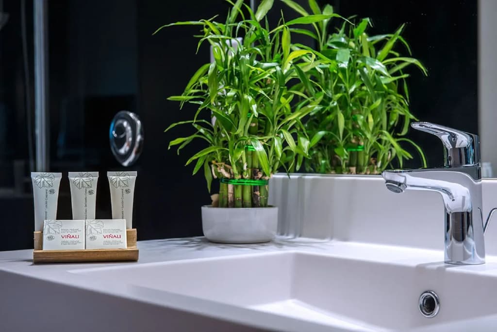 C Suites - Miniature 6