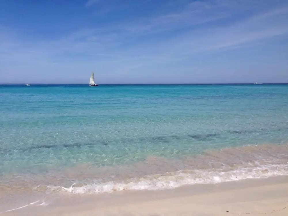 Mor315- T2 Neuf Vue mer 100m Plage - Miniature 6