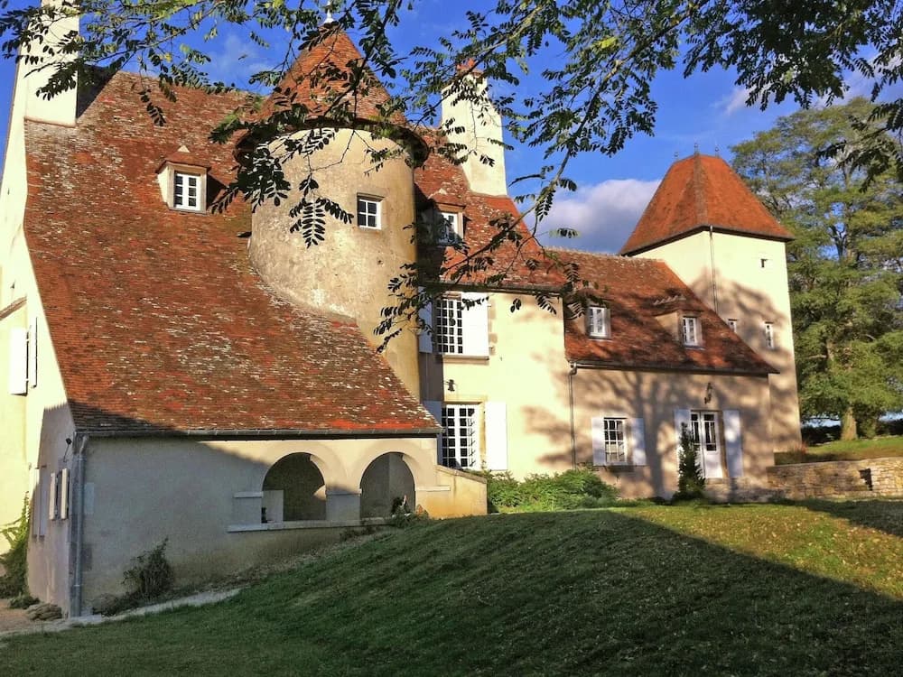 Castle in Le Veurdre Near Forest and River - Photo 1