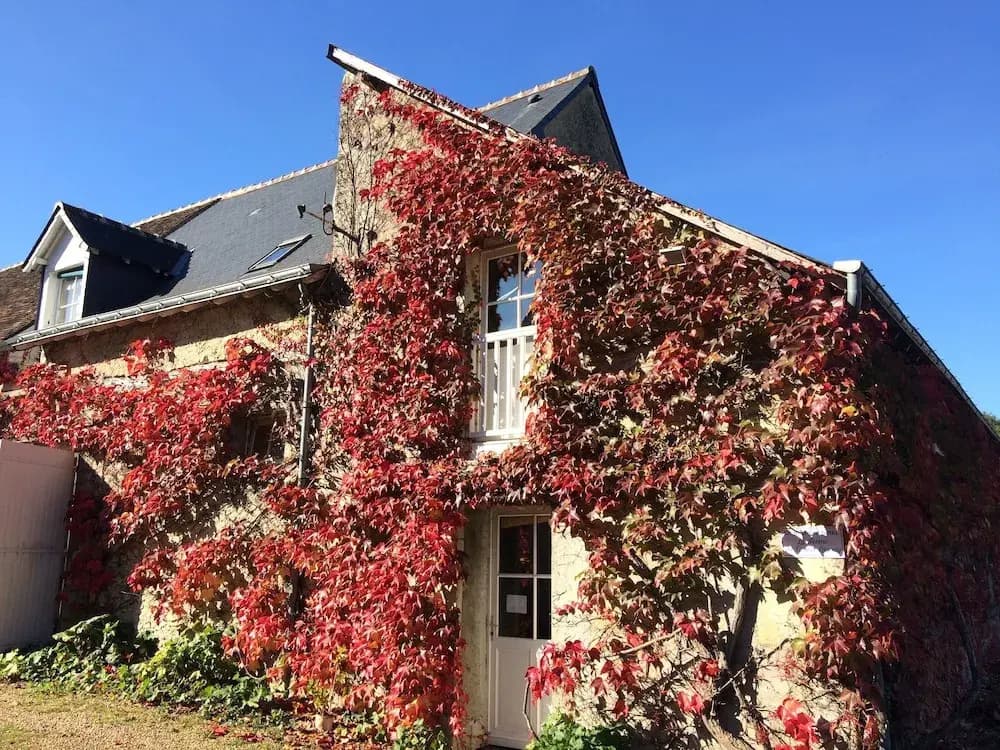 La Ferme du Grand Launay - Photo 1