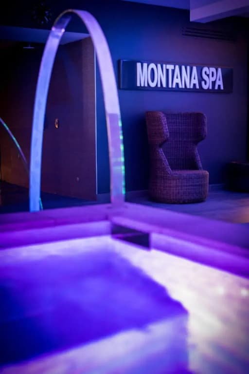 Montana Chalet Hôtel Spa - Miniature 6