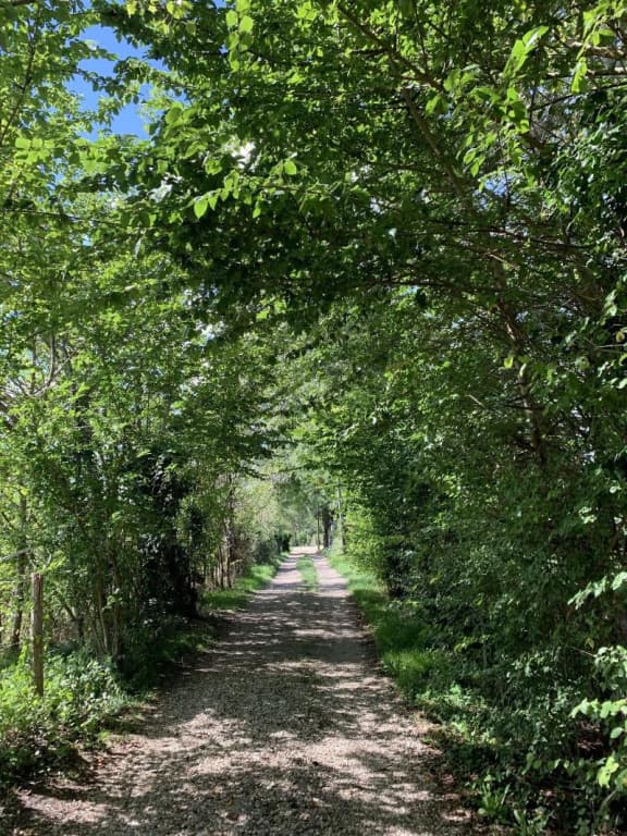 L'Orée de Giverny - Photo 5