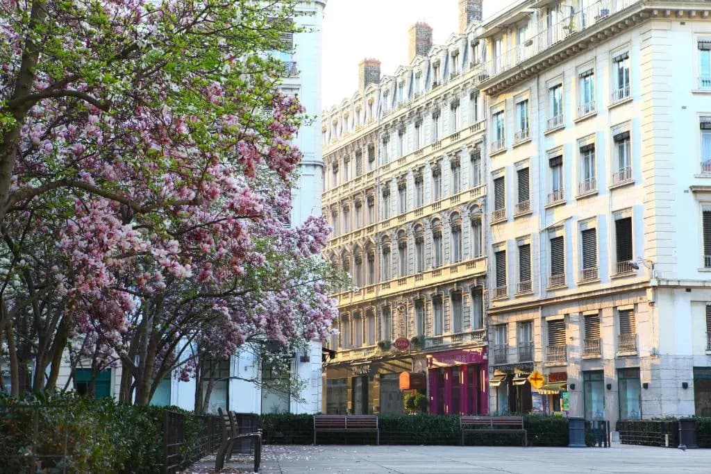 Hôtel des Célestins - Photo 1