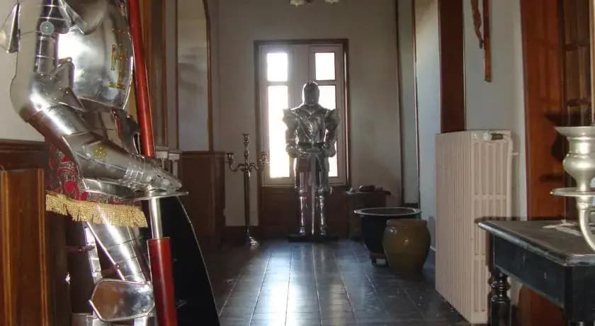 Château de Bussolles & 2 gîtes - Photo 1