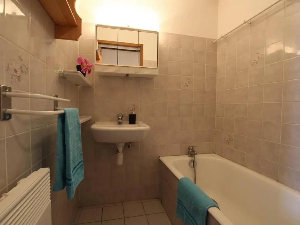 Appartement Vallouise-La Casse, 1 pièce, 4 personnes - FR-1-330G-13 - Miniature 4