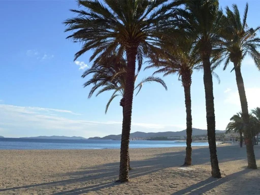 Appartement Le Lavandou, 3 pièces, 6 personnes - FR-1-251-355 - Miniature 8
