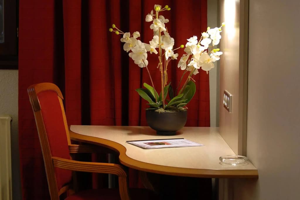 Sud Hôtel - Miniature 7