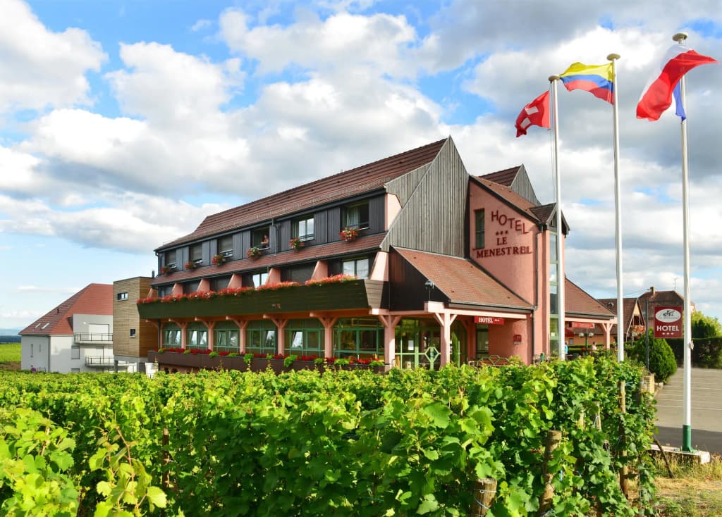 Hotel Le Ménestrel - Photo 1