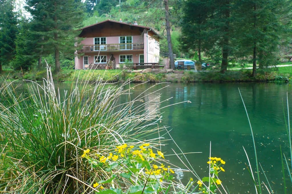 Apartment in Alsace With Nature Retreat - Miniature 6