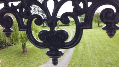 Château Oliveau - Photo 1